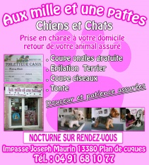 aux milles et une pattes plan de cuques ,chien chat plan de cuques,toilettage plan de cuques