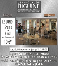 coiffeur allauch,coiffure,allauch,jean claude biguine allauch,brushing,institut de beauté allauch